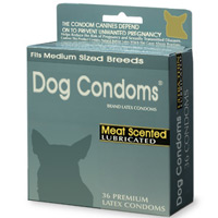 dogcondom.jpg