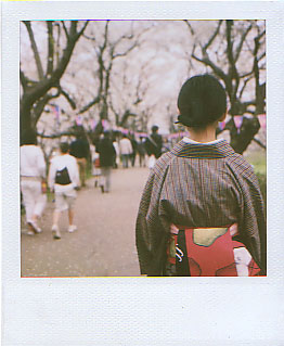 hanami07.jpg